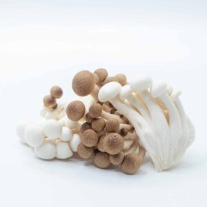 Белые и коричневые